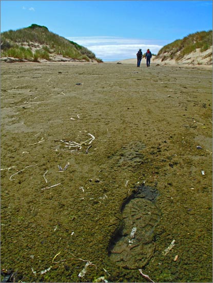 sm 090806.28.jpg - Low tidal areas between the dunes recieve just enough lagoon water to lay down a thin layer of mud.